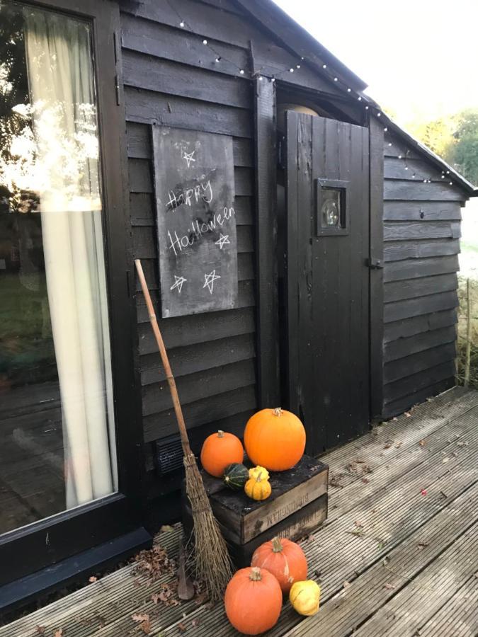 The Old Apple Shed Cosy Heated Cottage In A Meadow Close To The Charming Village Of Bethersden Ашфорд Екстериор снимка