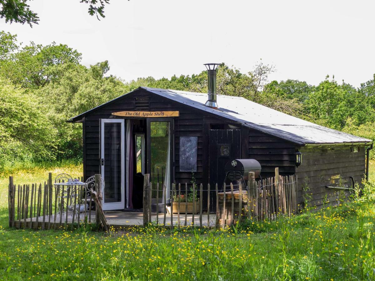 The Old Apple Shed Cosy Heated Cottage In A Meadow Close To The Charming Village Of Bethersden Ашфорд Екстериор снимка