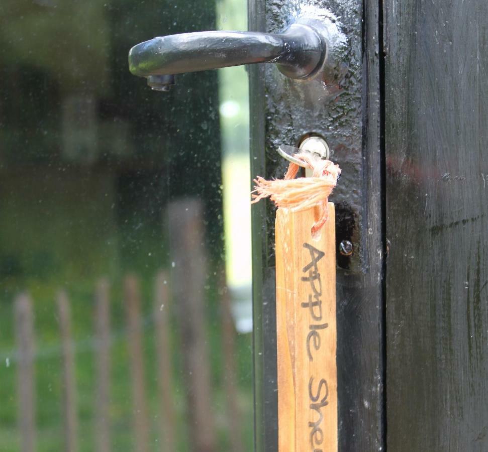The Old Apple Shed Cosy Heated Cottage In A Meadow Close To The Charming Village Of Bethersden Ашфорд Екстериор снимка